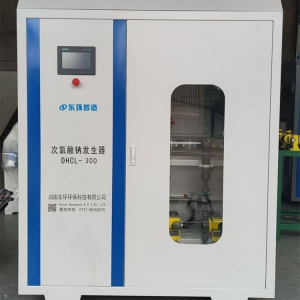 300g次氯酸钠发生器