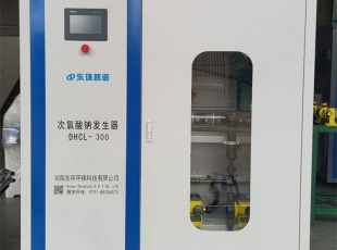 300g次氯酸钠发生器